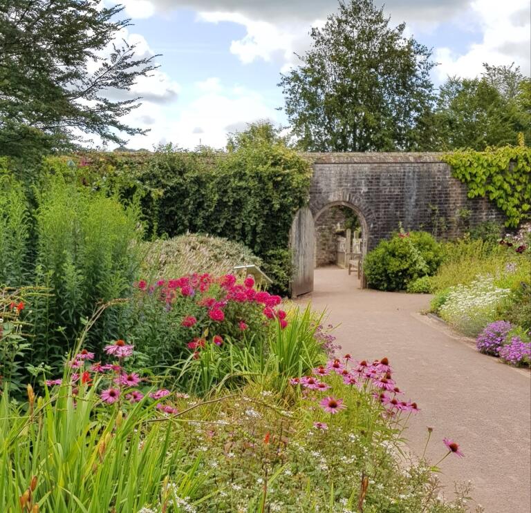 A path in a garden surrounded by flowers leading to an arched door in a wall.