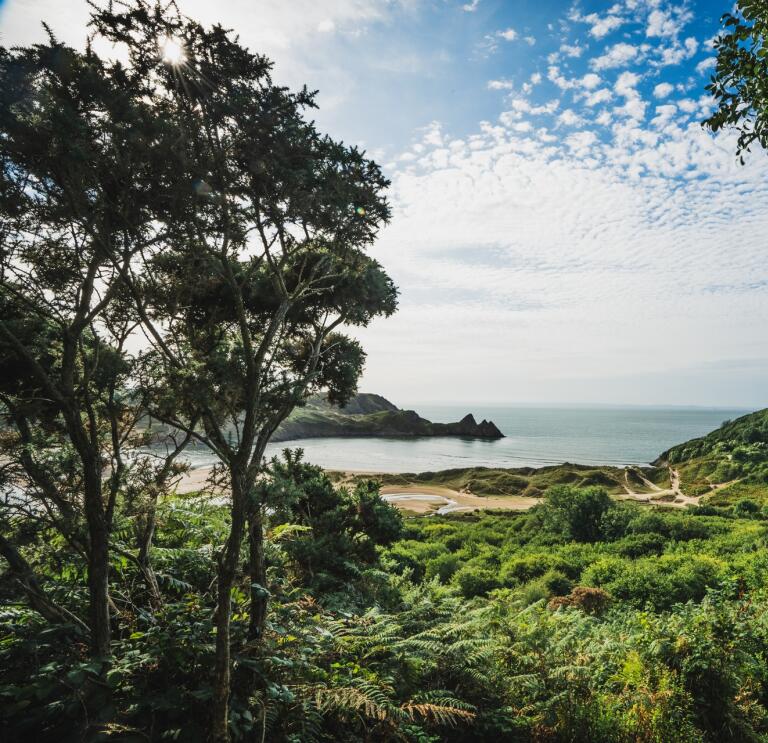 Views of a sandy bay and three cliffs framed by trees on a coastal path.