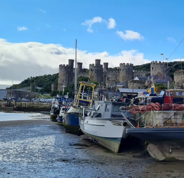 Boats on a quayside, with a castle in the background.