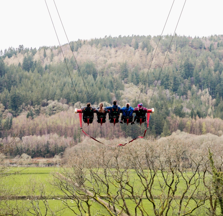 Group of people on a giant swing in an adrenaline fuelled forest attraction.