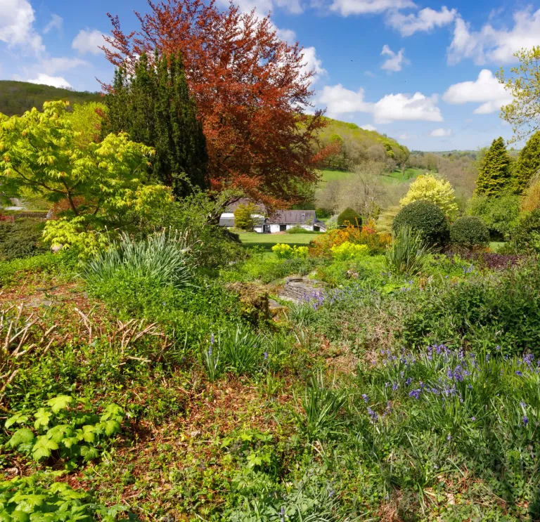 A house surrounded by colourful trees, flora and fauna