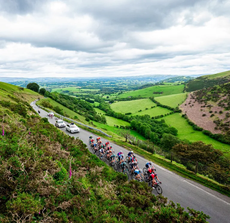 Competitive cyclists on a route through mountains and valleys.