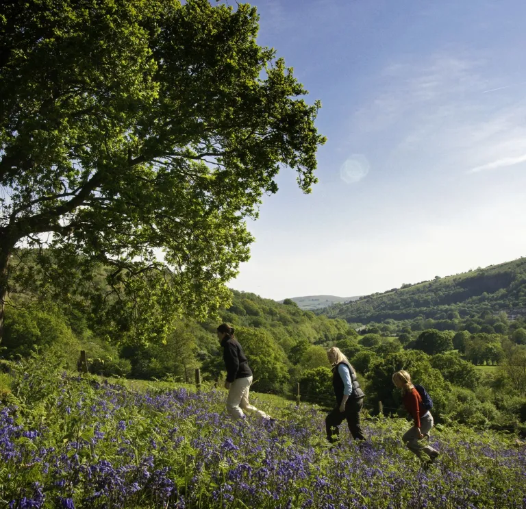 Group of ladies walking near a field of bluebells with mountains beyond.