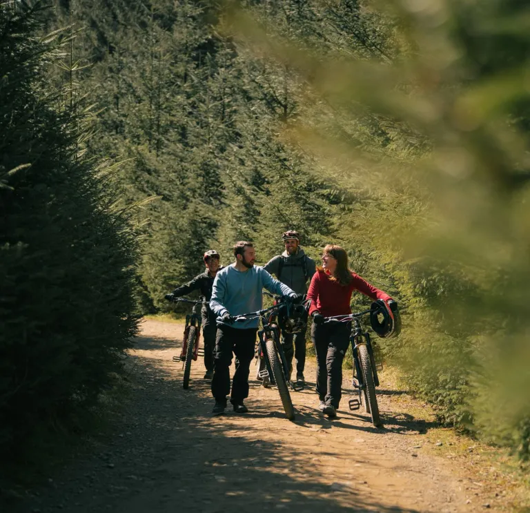 Four cyclists walking their bikes in a forest.