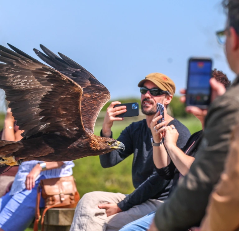 Group of people enjoying The British Bird of Prey Centre.