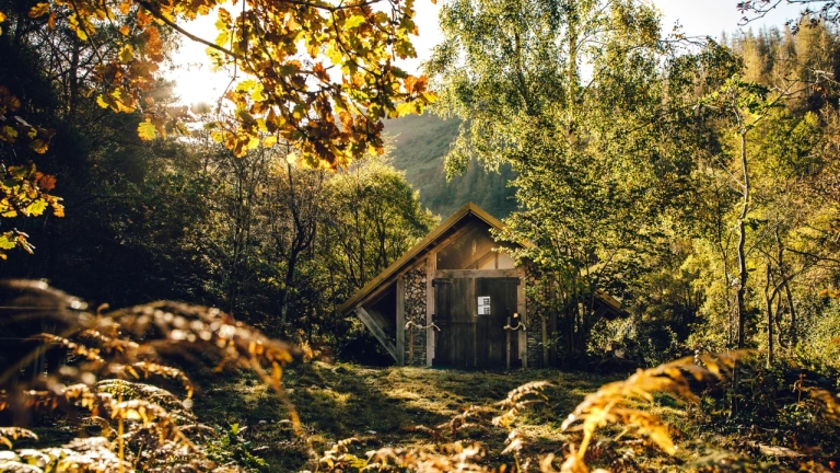 A building made of natural wood and logs in the woodland filled with sunlight.