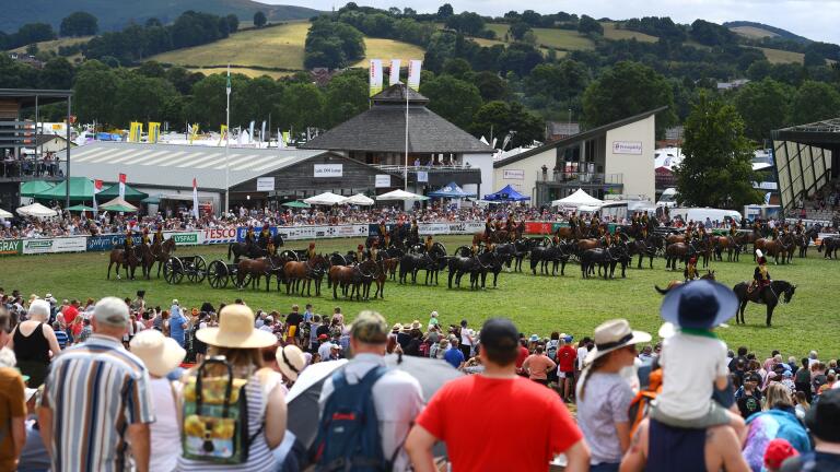 Crowed watching a display of the military on horses pulling cannons.