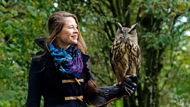 Lady holding an European Eagle Owl