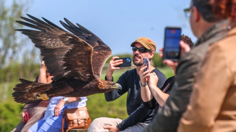 Group of people enjoying The British Bird of Prey Centre.