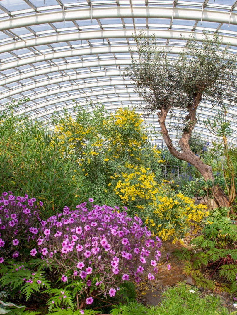 A Great Glasshouse with colourful flowers and exotic plants.