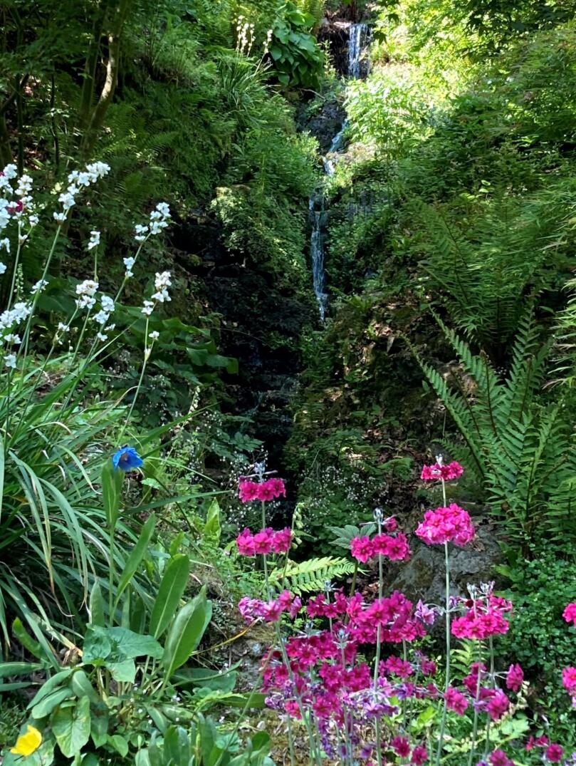 A garden full of blooms with a small waterfall in the background