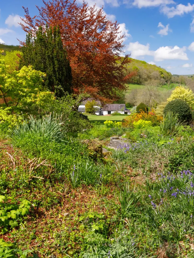 A house surrounded by colourful trees, flora and fauna