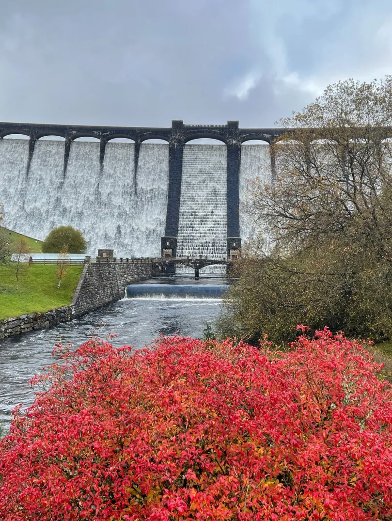 A dam in full spill of lake water, with red foliage in the foreground.