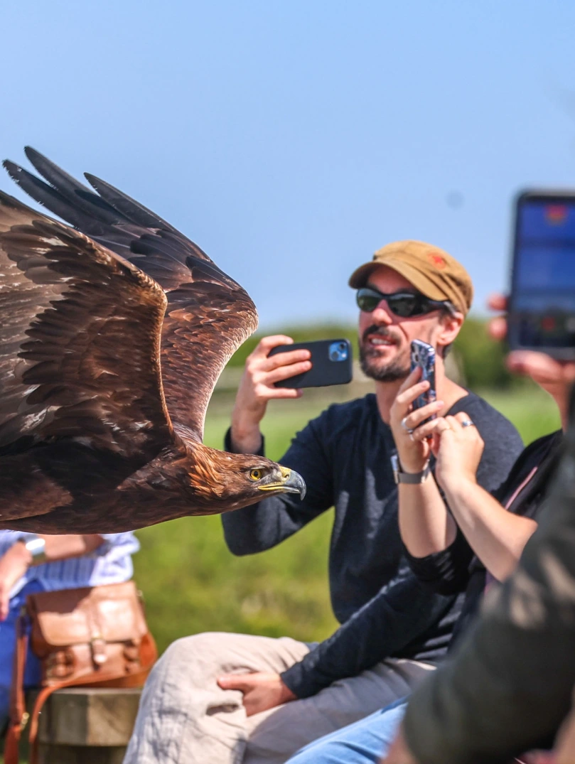 Group of people enjoying The British Bird of Prey Centre.