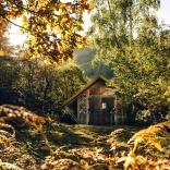 A building made of natural wood and logs in the woodland filled with sunlight.