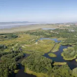 Aerial shot of water reserves surrounded by greenery by the coast.