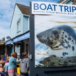 A board with a picture of a seal in the water advertising boat trips to an island. 