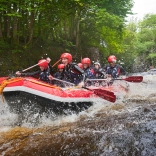 A group of people whitewater rafting down a river.