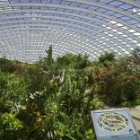 The Great Glass House at National Botanic Garden of Wales.