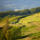 Golfers playing a round with stunning views seen from the height of the golf club.