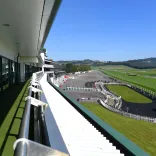 The length of a racecourse as seen from a viewing box.
