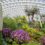 A Great Glasshouse with colourful flowers and exotic plants.