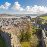 Aerial shot of a castle and it's town walls.