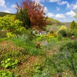 A house surrounded by colourful trees, flora and fauna