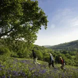 Group of ladies walking near a field of bluebells with mountains beyond.