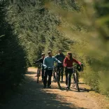 Four cyclists walking their bikes in a forest.