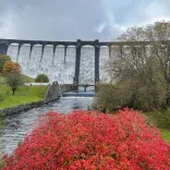 A dam in full spill of lake water, with red foliage in the foreground.