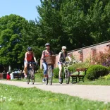 Family of cyclists pedalling through a park filled with flowers.