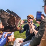 Group of people enjoying The British Bird of Prey Centre.
