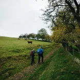 A couple walking past a field with cows.