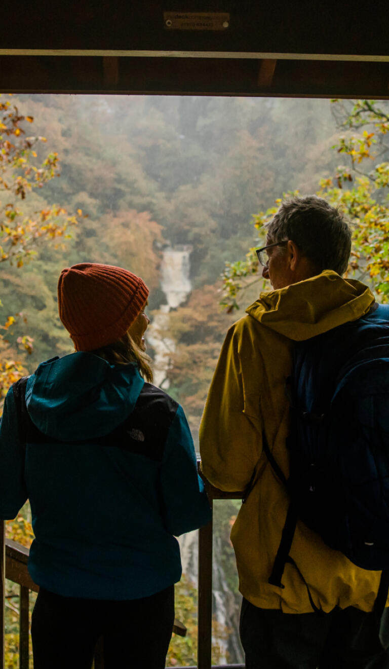 A couple on a viewing platform looking at a waterfall surrounded by autumnal trees.