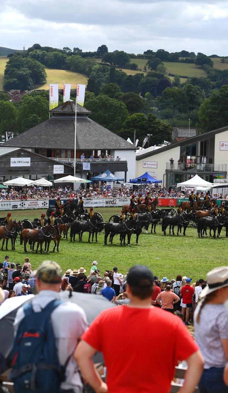 Crowed watching a display of the military on horses pulling cannons.