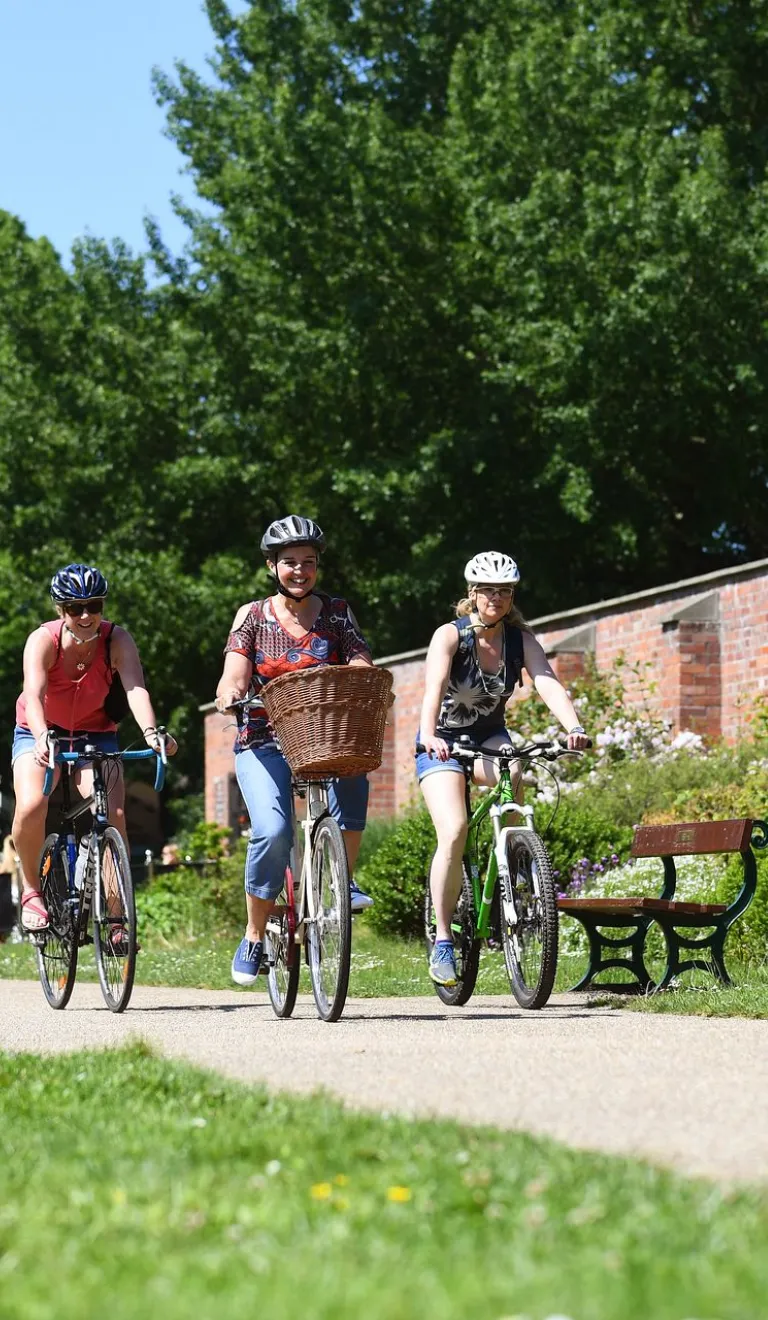 Family of cyclists pedalling through a park filled with flowers.